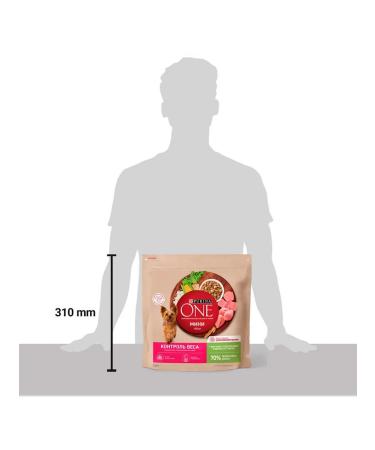 PURINA ONE Dog feed for dry mini control over turret 1.5 kg 4 pcs - Buy Online on GoSupps.com