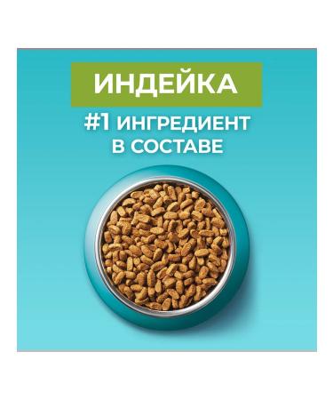 PURINA ONE Dry food for home cats turkey cereals 3 kg 4 pcs - Buy Online on GoSupps.com