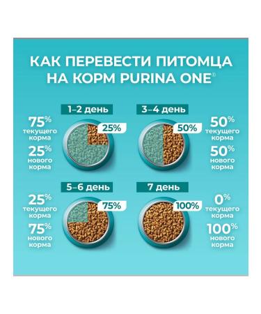 PURINA ONE Feeding dry sterilized cats salmon wheat wheat 1.5 kg 4 pcs - Buy Online on GoSupps.com