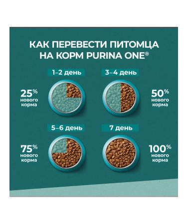 PURINA ONE Feed dry nature of health for cats chicken 0.68 kg 4 pcs - Buy Online on GoSupps.com