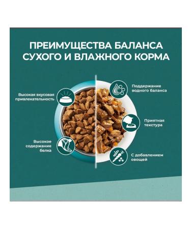 PURINA ONE Feed dry nature of health for cats chicken 0.68 kg 4 pcs - Buy Online on GoSupps.com