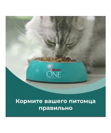 PURINA ONE Feed dry nature of health for cats chicken 0.68 kg 4 pcs - Buy Online on GoSupps.com