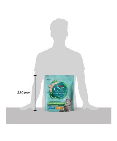 PURINA ONE Feed dry nature of health for cats chicken 0.68 kg 4 pcs - Buy Online on GoSupps.com