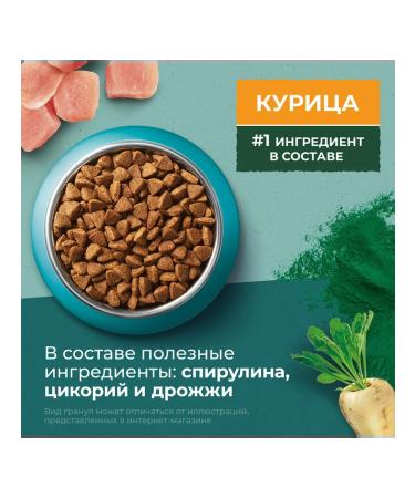 PURINA ONE Feed dry nature of health for cats chicken 0.68 kg 4 pcs - Buy Online on GoSupps.com