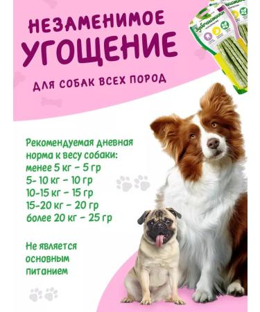 Toothpicks Chewing sticks for dogs 4 units - Buy Online on GoSupps.com