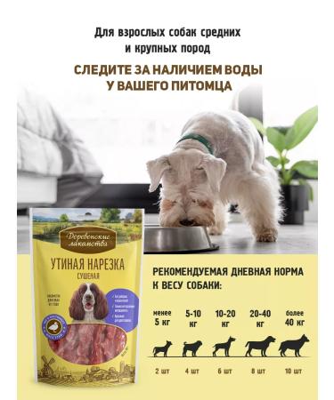 Country delicacies Ducky cutting dried 2 packages - Buy Online on GoSupps.com