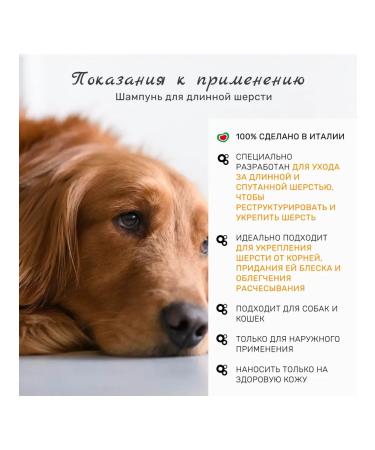 Yuup Long wool shampoo bottle 250 ml - Buy Online on GoSupps.com