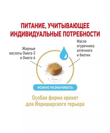 ROYAL CANIN Yorkshire Terrier 8+ for dogs 500 gr - Buy Online on GoSupps.com