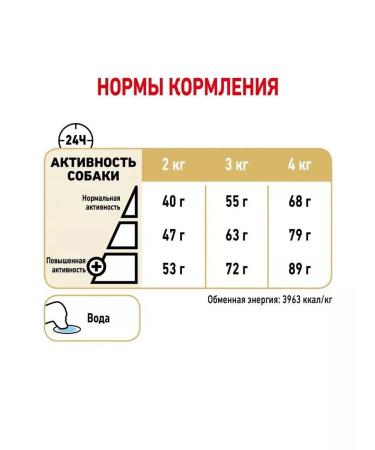 ROYAL CANIN Yorkshire Terrier 8+ for dogs 500 gr - Buy Online on GoSupps.com