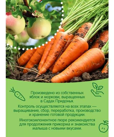 Gardens of Pridonya Puree children's apple-carrots 125 grams 18 pcs - Buy Online on GoSupps.com