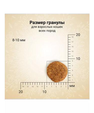 CRAFTIA Dry Harmona food for cats Duck turkey 0.32 kg 4 pcs - Buy Online on GoSupps.com