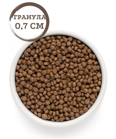 Premier food for sterilized cats with turkey 2kg - Buy Online on GoSupps.com