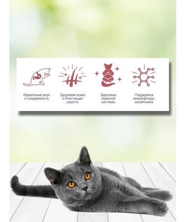 Brit Dry food for fastidious cats 400g - Buy Online on GoSupps.com