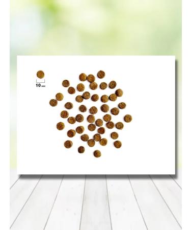 Brit Dry food for cats Indoor Stool turkey and salmon 400 g - Buy Online on GoSupps.com