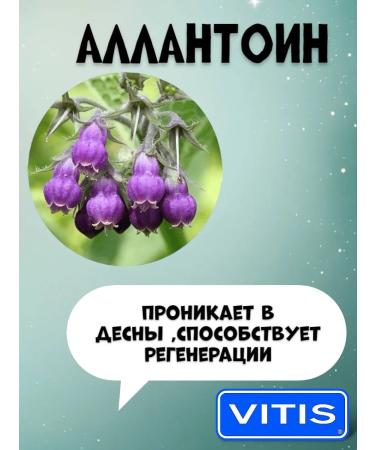 VITIS Set of orthodontic toothpaste 100 ml - Buy Online on GoSupps.com