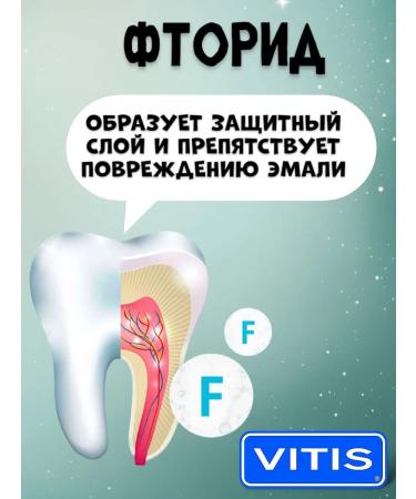 VITIS Set of orthodontic toothpaste 100 ml - Buy Online on GoSupps.com