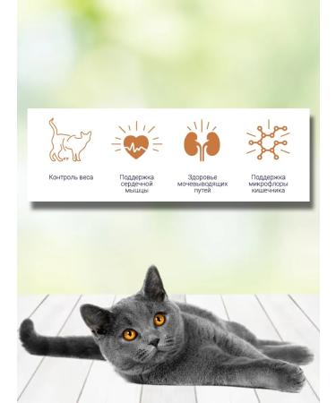 Brit Dry food for sterilized cats weight control 400g - Buy Online on GoSupps.com