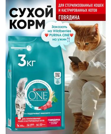 PURINA ONE Purinaone food for sterilized cats with beef 3kg - Buy Online on GoSupps.com