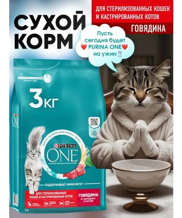 PURINA ONE Purinaone food for sterilized cats with beef 3kg - Buy Online on GoSupps.com
