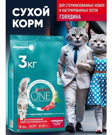 PURINA ONE Purinaone food for sterilized cats with beef 3kg - Buy Online on GoSupps.com