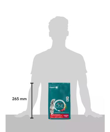 PURINA ONE Purinaone food for sterilized cats with beef 3kg - Buy Online on GoSupps.com