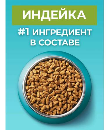 PURINA ONE Dry food for cats 3 kg - Buy Online on GoSupps.com