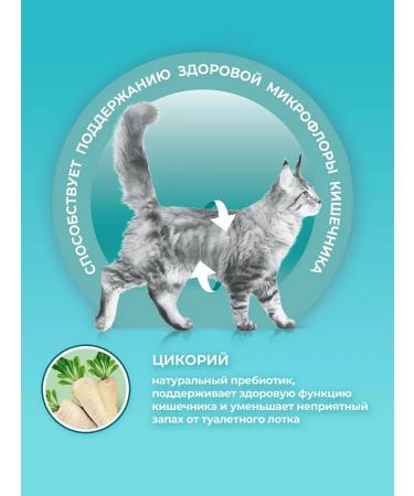 PURINA ONE Dry food for cats 3 kg - Buy Online on GoSupps.com