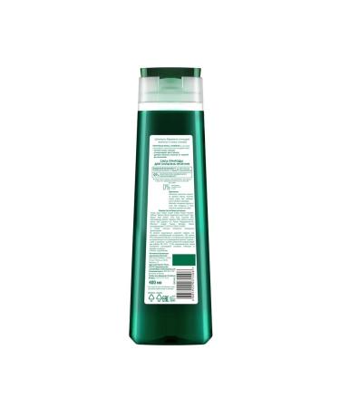 Clean line Male hair growth with mint and caffeine 400 ml - Buy Online on GoSupps.com
