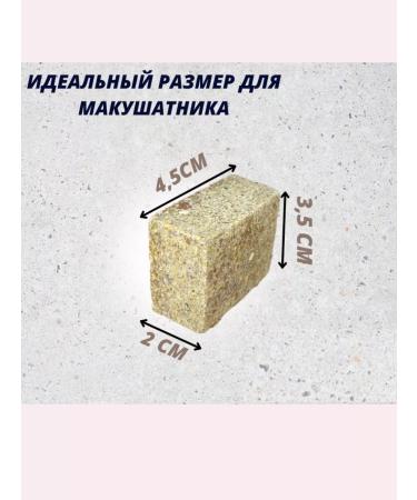 Astrakhan catch A set of corn coo -cheese "you will definitely catch" 36pcs - Buy Online on GoSupps.com