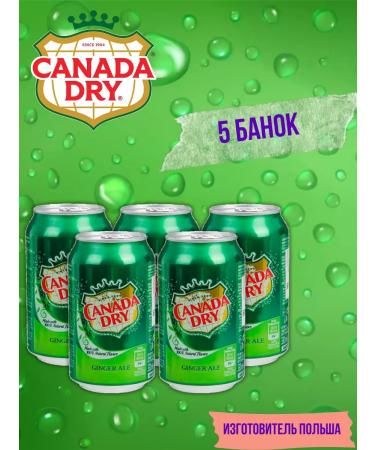 Schweppes Canada Dry drink (ginger ale) 5 pcs 330 ml