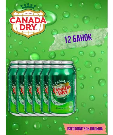 Schweppes Canada Dry drink (ginger ale) 12 pcs 330 ml