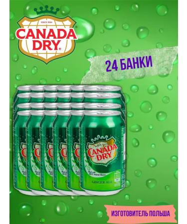 Schweppes Canada Dry drink (ginger ale) 24 pcs 330 ml