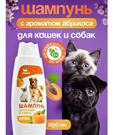 Amigos by Amato Shampoo without tears for dogs and cats with an aroma of apricot