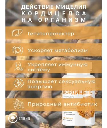 Corenin Cordyceps military capsule against viruses and diseases - Buy Online on GoSupps.com