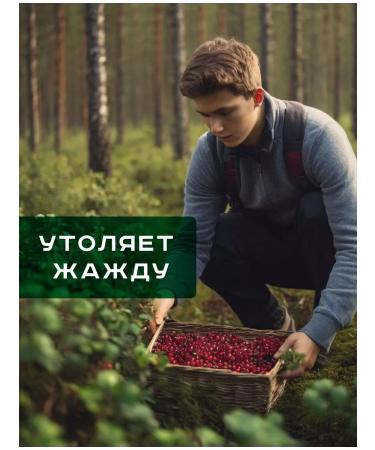 STOEV Brusnika wiped with sugar 15 pcs in soft packaging - Buy Online on GoSupps.com