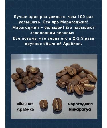 Saint Drogo Coffee in grains Maragogodzhip Nicaragua 1 kg - Buy Online on GoSupps.com