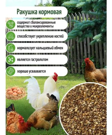 ECO FARMER Marine fodder shallow for chickens 10 kg - Buy Online on GoSupps.com