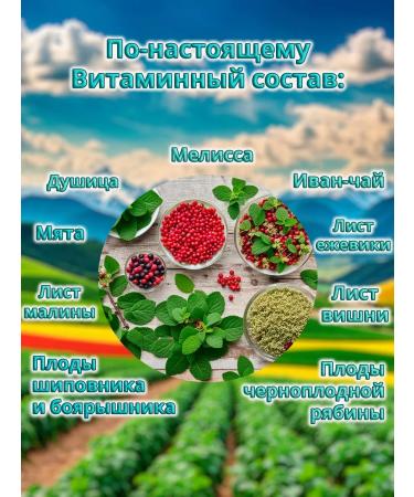 Secrets of the Caucasus Herbal tea "vitamin" 70g - Buy Online on GoSupps.com