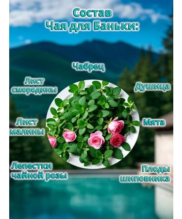 Secrets of the Caucasus Herbal tea "For a bathhouse" 70g - Buy Online on GoSupps.com
