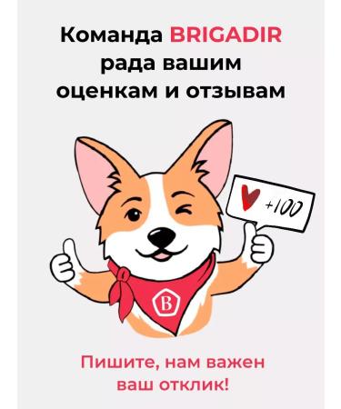 Westar Liquid soap magnolia 500 ml - Buy Online on GoSupps.com