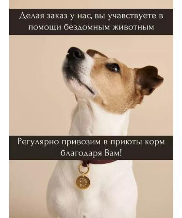 ROYAL CANIN Urinary dietary diet food for cats at ICD 350 g 6 pcs - Buy Online on GoSupps.com