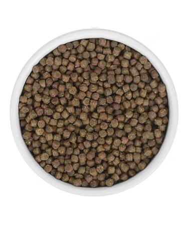 SAVITA Dry food for kittens of blurry salmon white fish 2 kg 4pcs - Buy Online on GoSupps.com