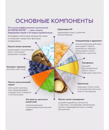 MISSHA Anti -aging night face cream (probe) 10ml - Buy Online on GoSupps.com