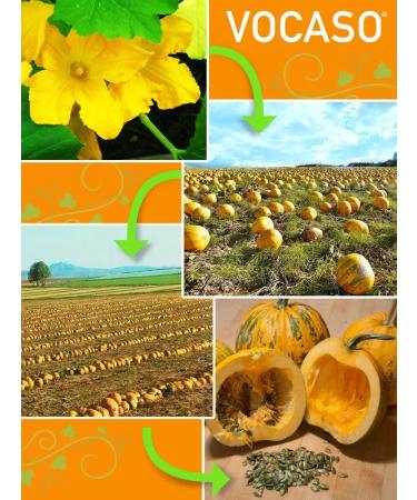 VOCASO Stri pumpkin cold pressing oil 125 ml - Buy Online on GoSupps.com