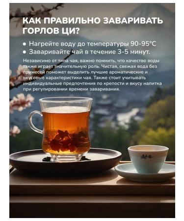 Anime Tea Magic Battle - Fushiguro Toggi - Buy Online on GoSupps.com