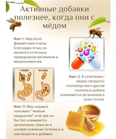 Wild honey Chaga Birch natural Balkham with honey - Buy Online on GoSupps.com