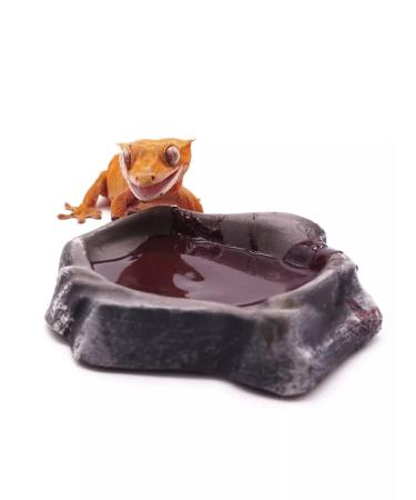 Kate's Geckos Lab A complex for enhancing the color of reptiles amphibians fish birds - Buy Online on GoSupps.com