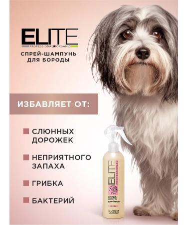 AVZ Cleaning spray for dogs with antifungal effect - Buy Online on GoSupps.com