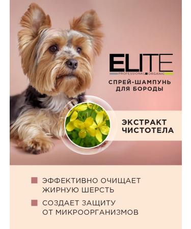 AVZ Cleaning spray for dogs with antifungal effect - Buy Online on GoSupps.com