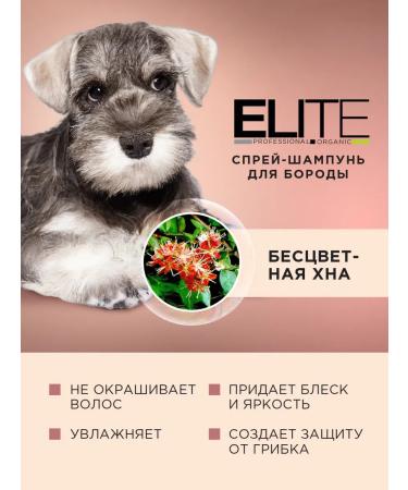 AVZ Cleaning spray for dogs with antifungal effect - Buy Online on GoSupps.com